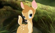 Bambi Forest Friends