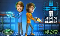 Gemini Project Training