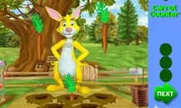 Rabbit Garden