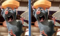 Spot The Difference