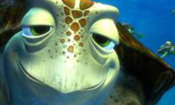 Finding Nemo Cruisin With Crush Disney Games Com Finding Nemo Cruisin With Crush Disney Games Com